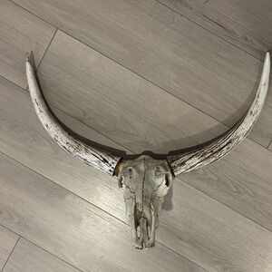 Skull Wall decor